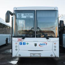 Расписание автобусов в Вологде изменится с 1 ноября 2022 года
